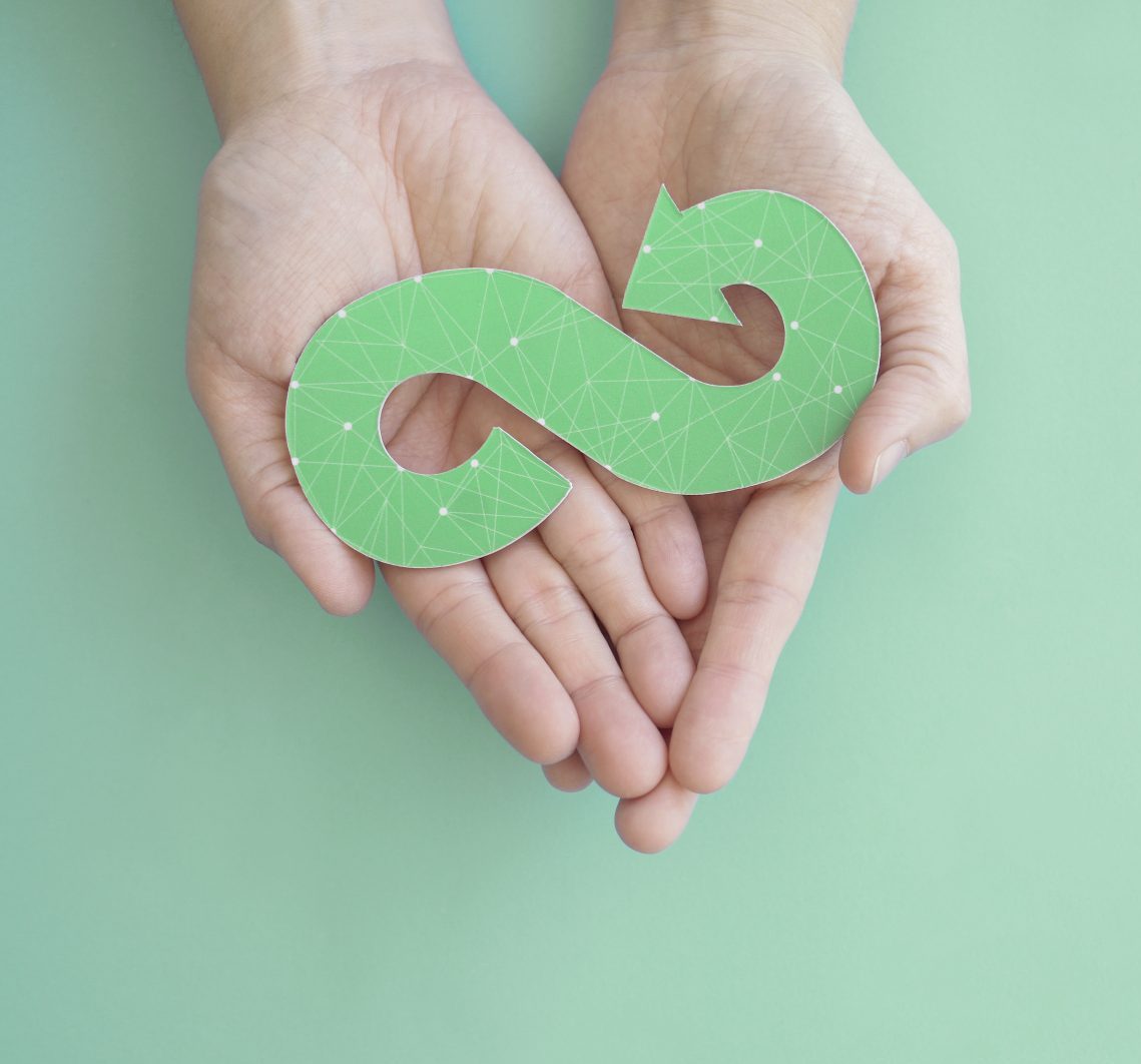 Hands holding a sustainable future