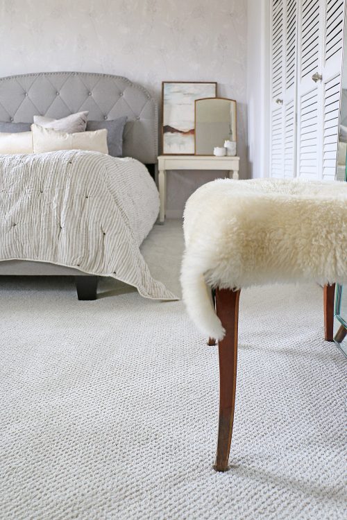 Carpet in Fashionable Bedroom